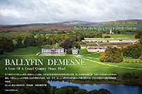 BALLYFIN DEMESNE