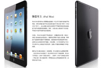 体验至上 IPad Mini